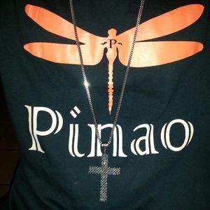 Meet your Posher, Pinao